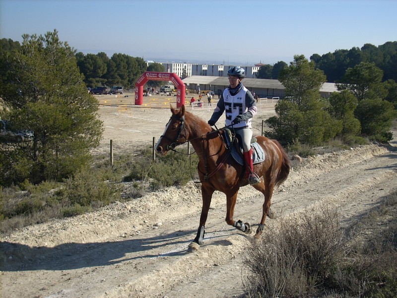 El jinete Navarro PACO AYESTARÁN, ganador del I Raid AGM en Zaragoza